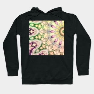 Idealism insignificant Hoodie